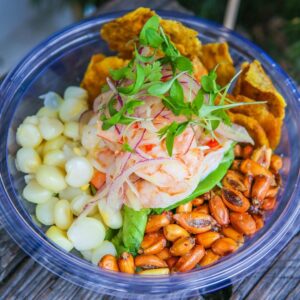 Ceviche Peruvian street food.